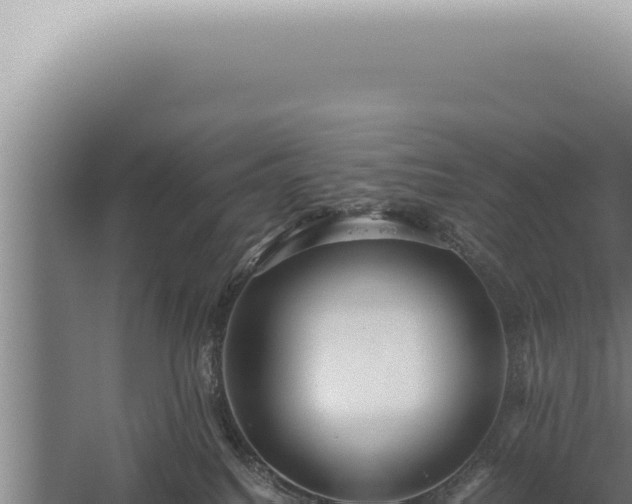 X0000059810088200510281716