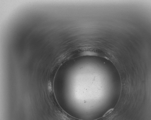 X0000059810089200510281716