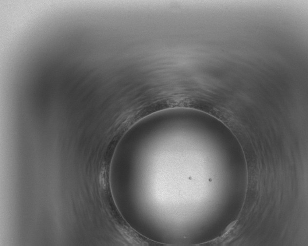 X0000059810090200510281716