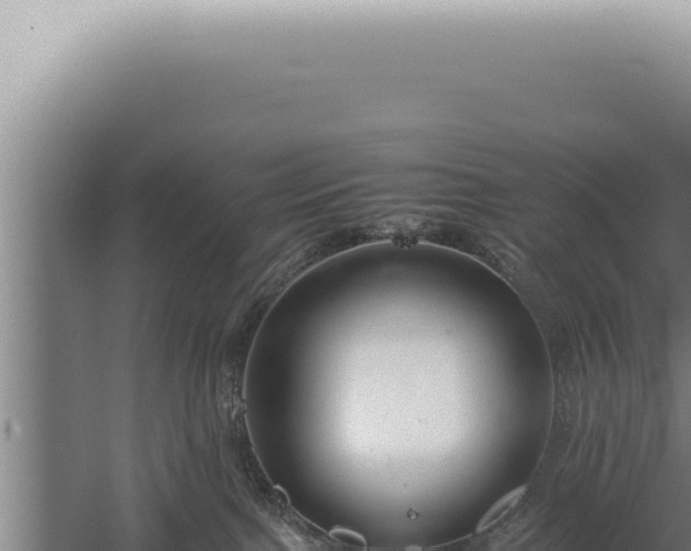 X0000059810091200510281717