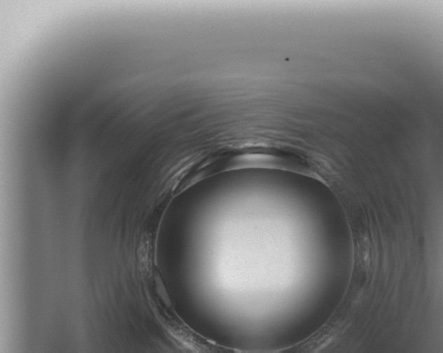 X0000059810092200510281717