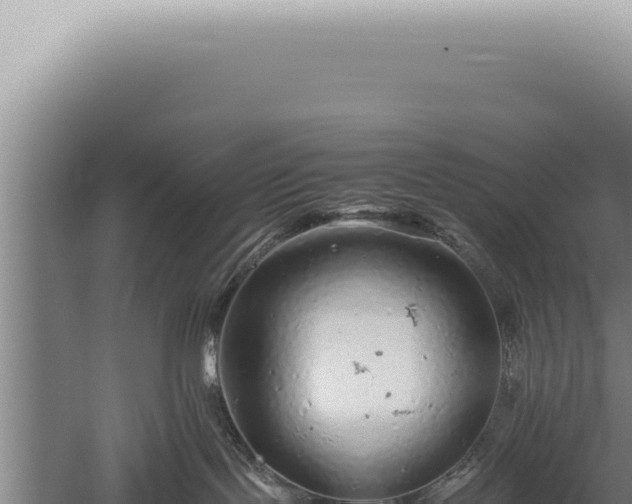 X0000059810095200510281717