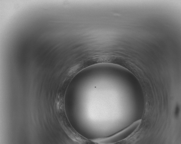 X0000059810096200510281717