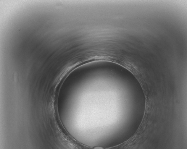 X0000059810098200510281716