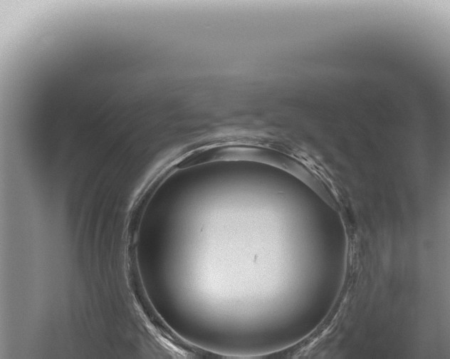 X0000059810101200510281716