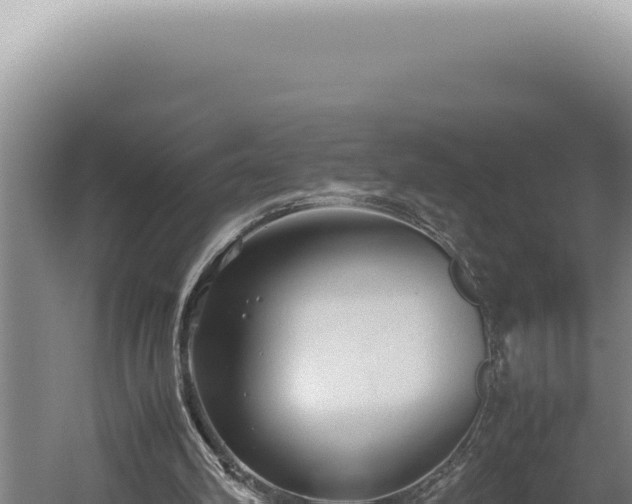 X0000059810102200510281716