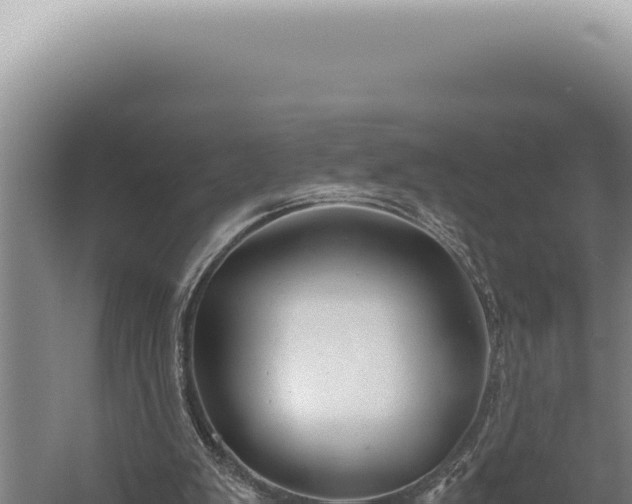 X0000059810103200510281716