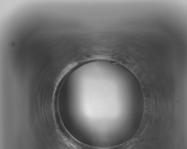 X0000059810104200510281716