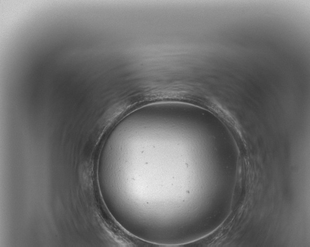 X0000059810107200510281716