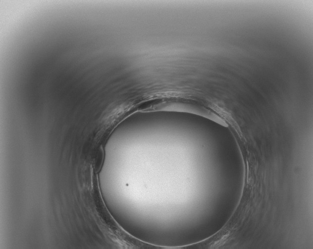 X0000059810109200510281716