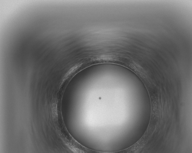 X0000059810112200510281716