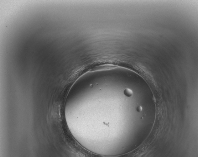 X0000059810115200510281715