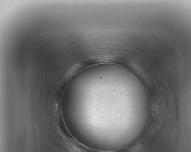 X0000059810117200510281715