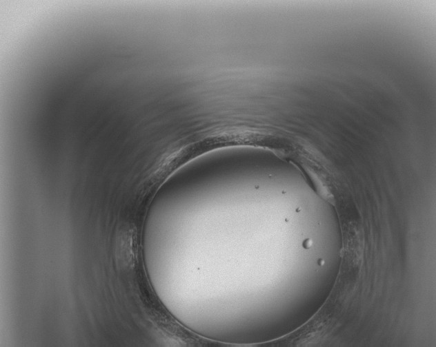 X0000059810119200510281715