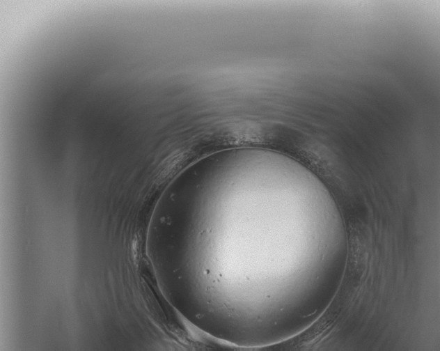 X0000059810123200510281715