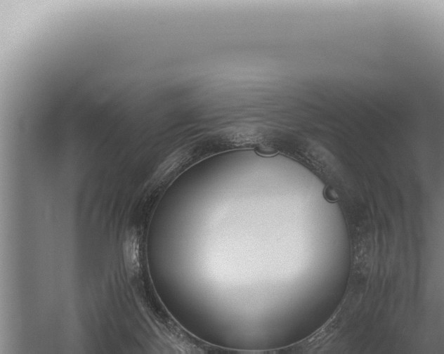 X0000059810124200510281715