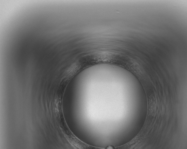 X0000059810126200510281715