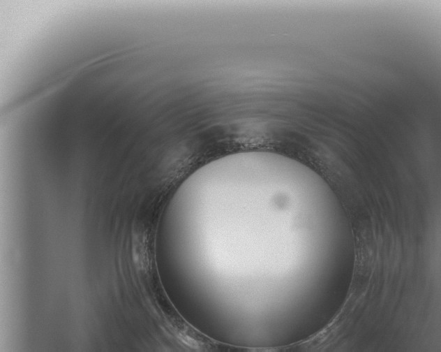 X0000059810136200510281715