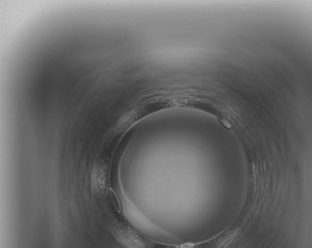 X0000059810139200510281715