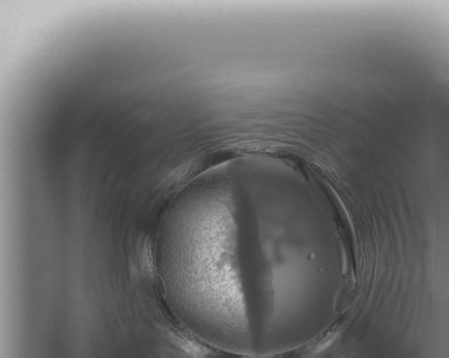 X0000059810143200510281715