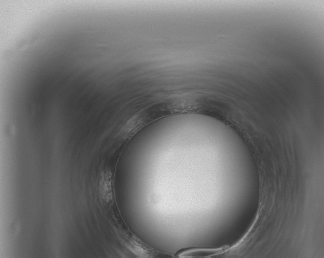 X0000059810144200510281715