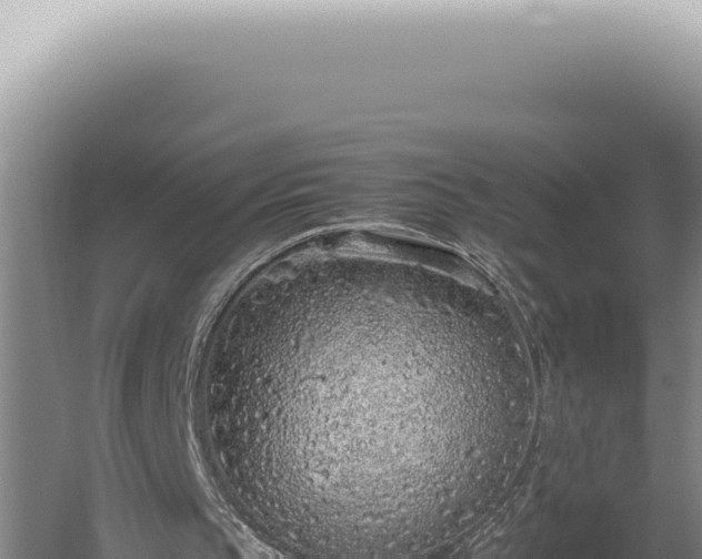 X0000059810145200510281714