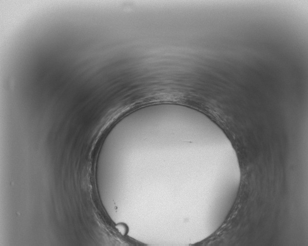 X0000059810146200510281714