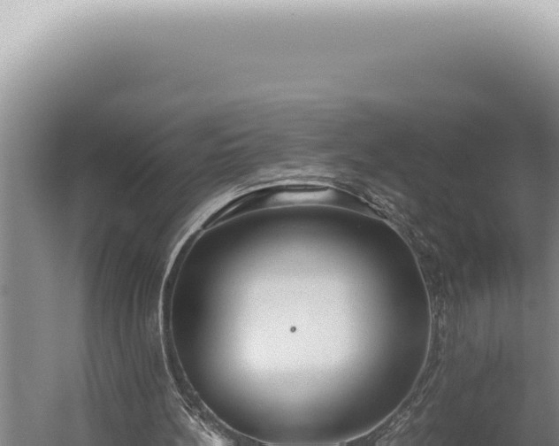 X0000059810148200510281714