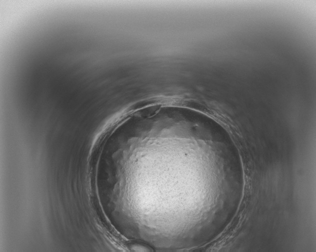 X0000059810149200510281714