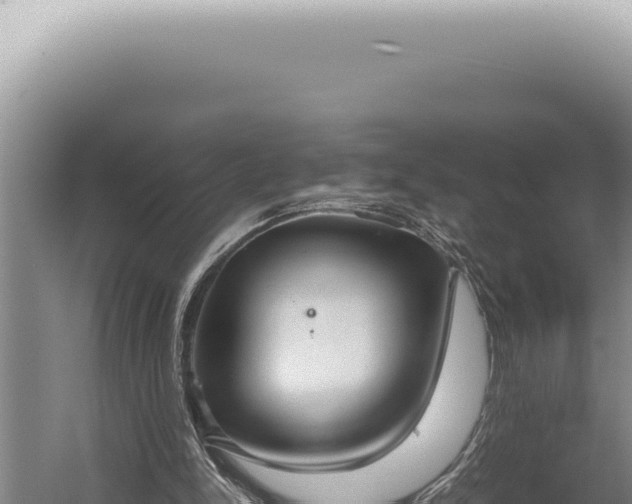 X0000059810150200510281714