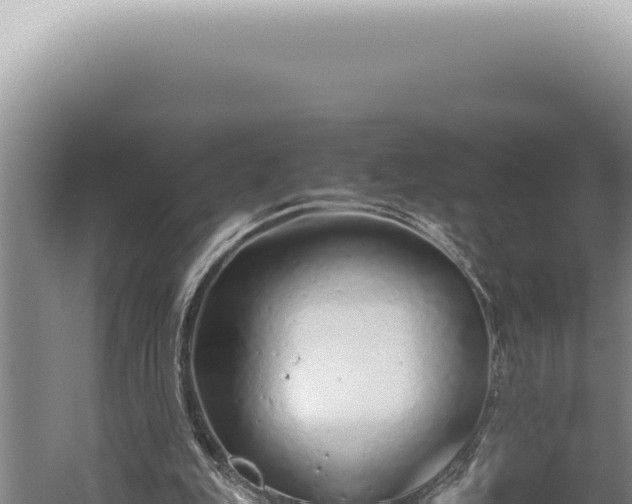 X0000059810151200510281714