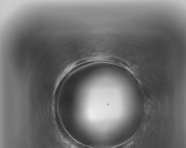 X0000059810152200510281714