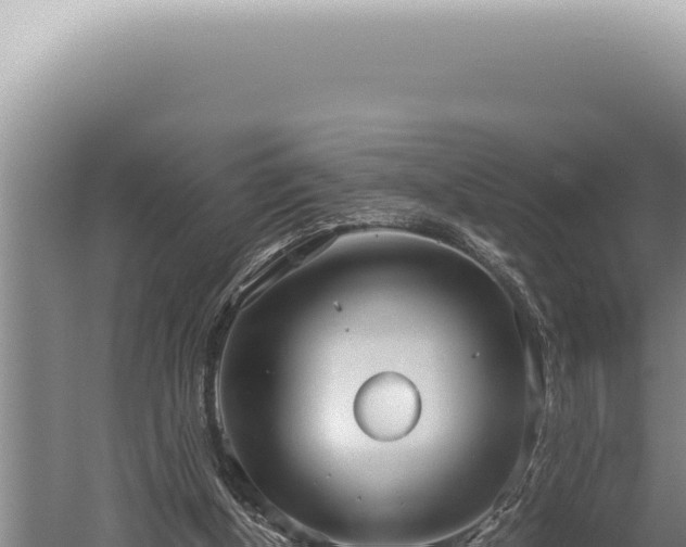 X0000059810154200510281714