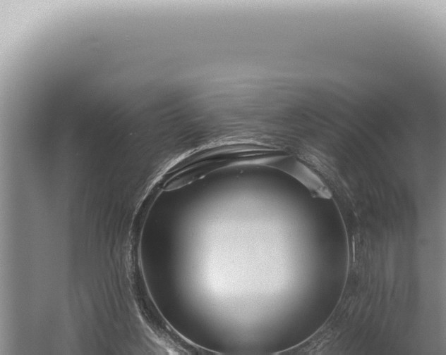 X0000059810156200510281714