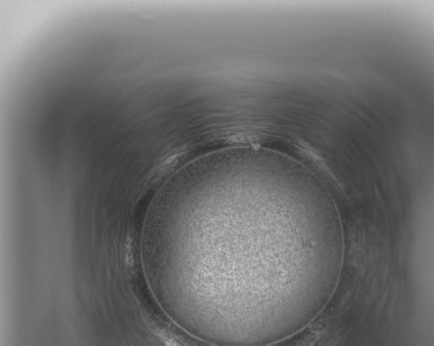 X0000059810161200510281714