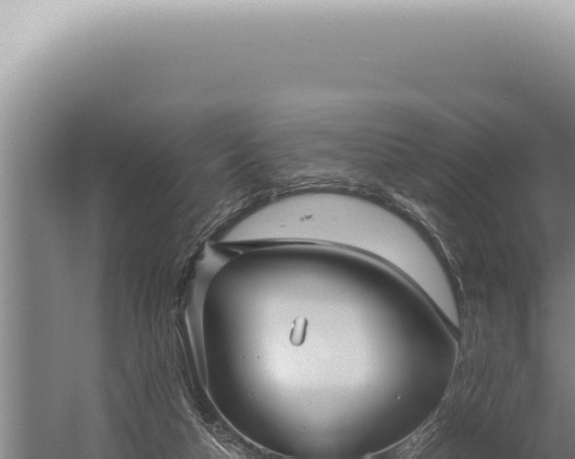 X0000059810162200510281714