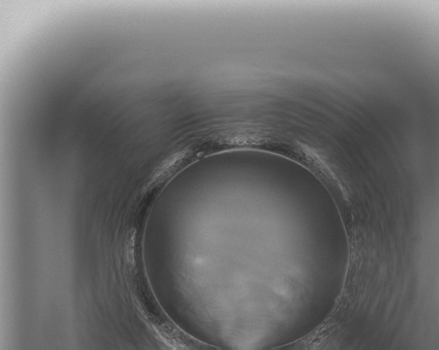 X0000059810163200510281714