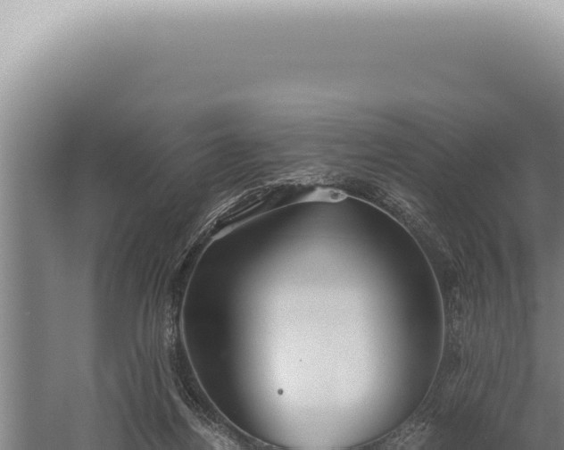 X0000059810164200510281714