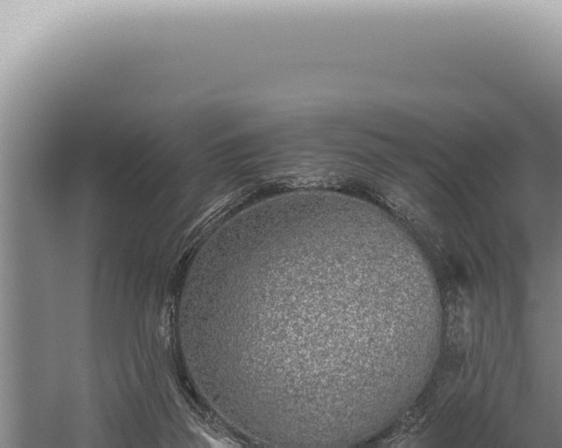 X0000059810165200510281714