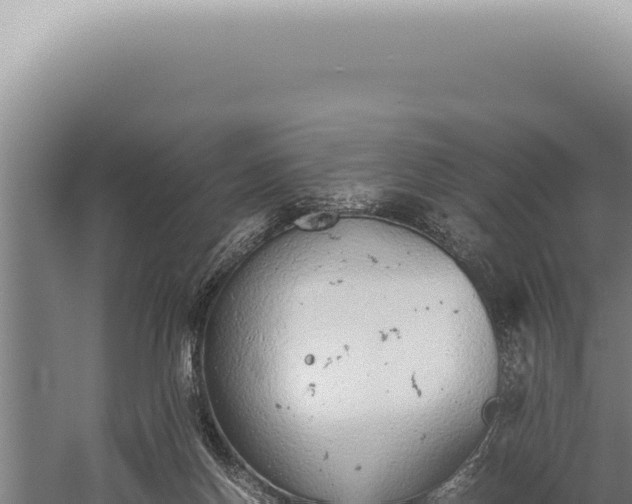 X0000059810166200510281715