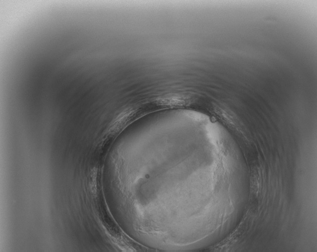 X0000059810167200510281715