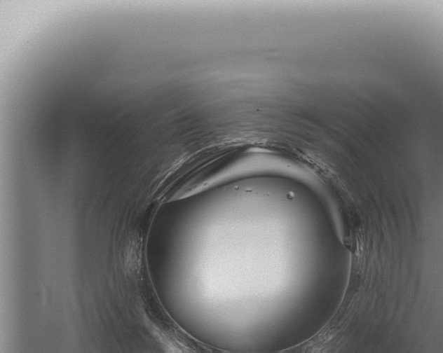 X0000059810168200510281715