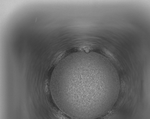 X0000059810169200510281715