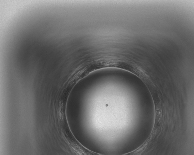 X0000059810170200510281715