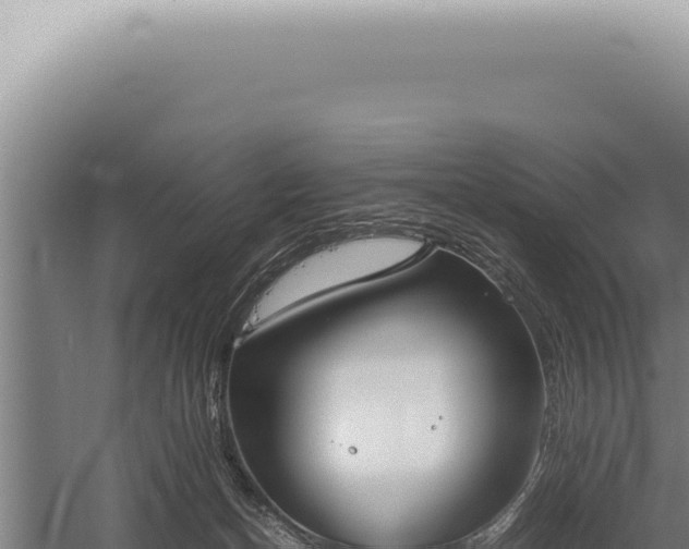 X0000059810174200510281715