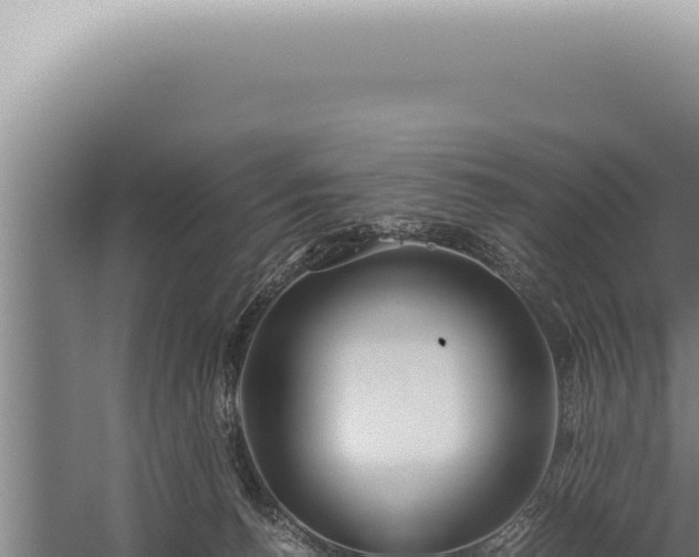 X0000059810176200510281715