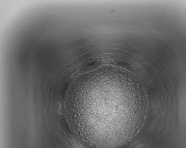 X0000059810177200510281715