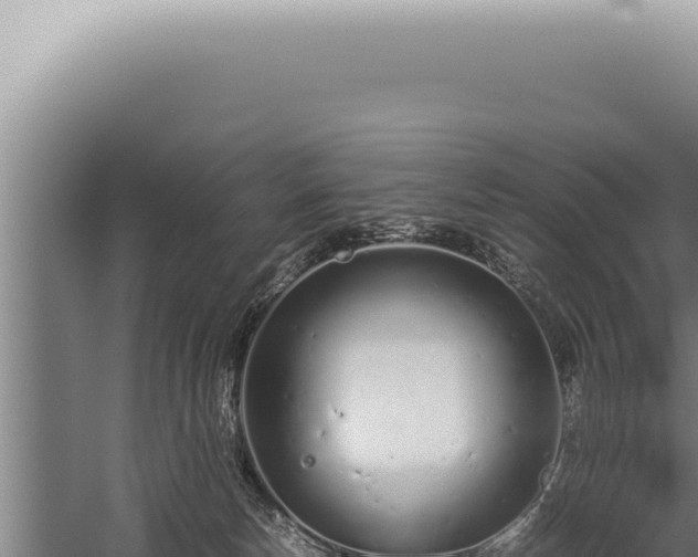 X0000059810178200510281715