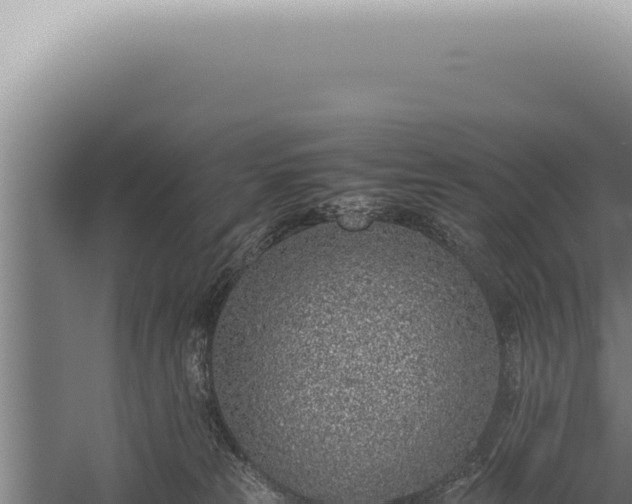 X0000059810181200510281715