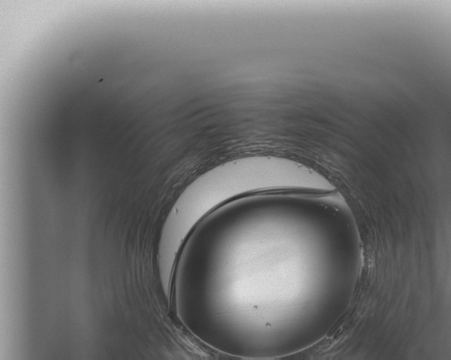 X0000059810185200510281715